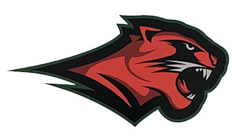Jamestown Red and Green Football